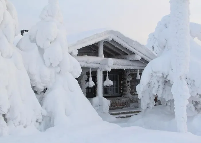 דירה Revontuli 8 *